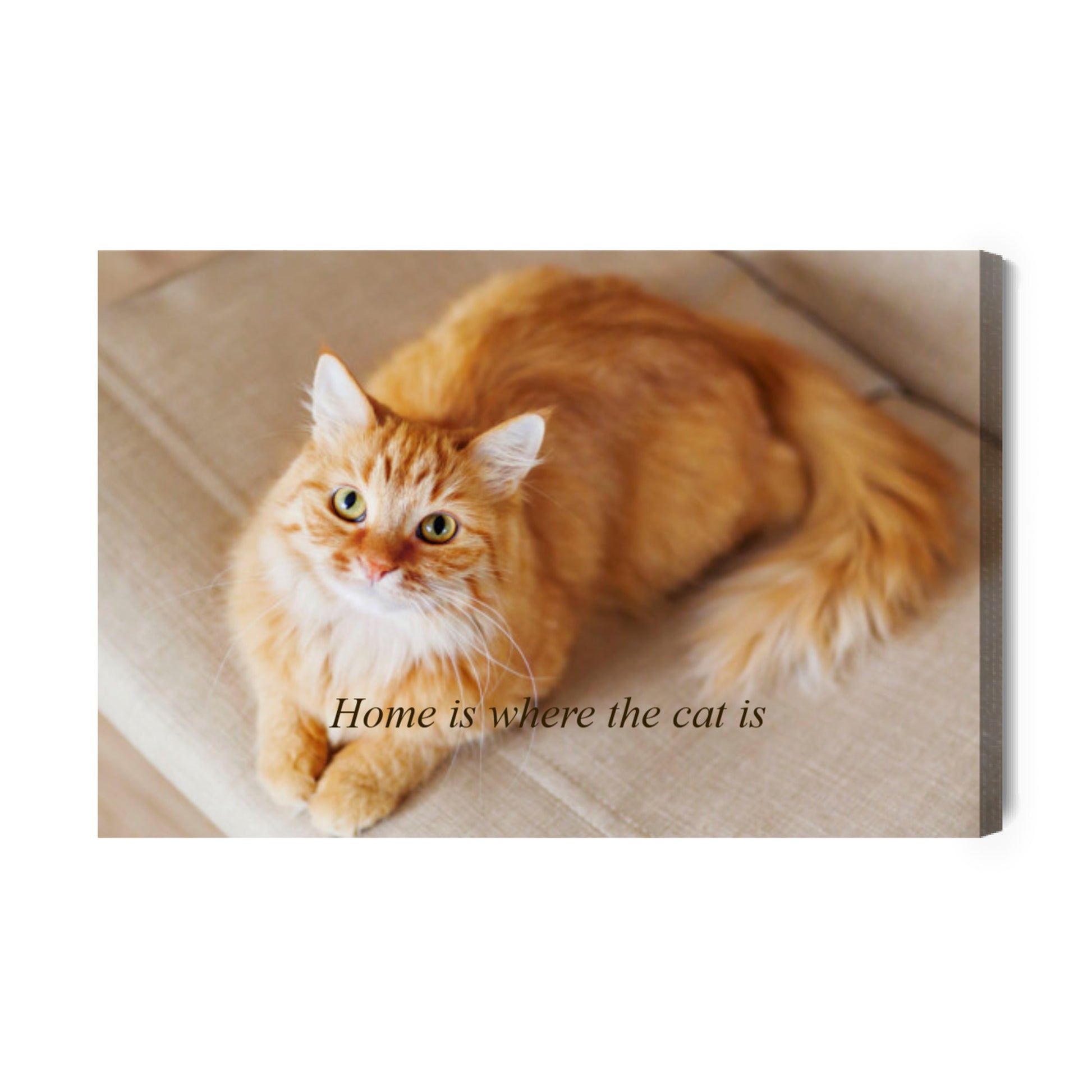 Leinwandbild mit Katzenfoto und Text