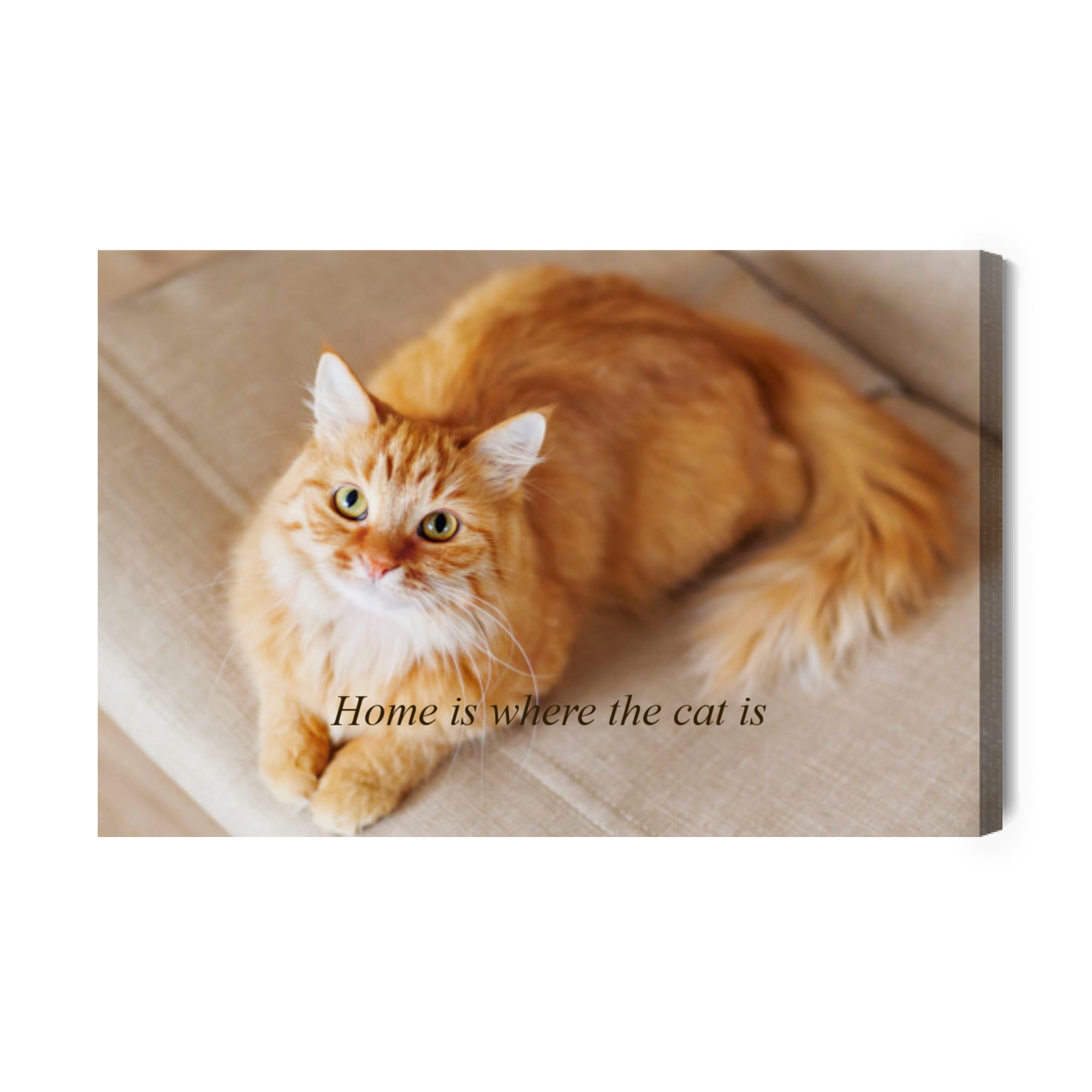 Leinwandbild mit Katzenfoto und Text