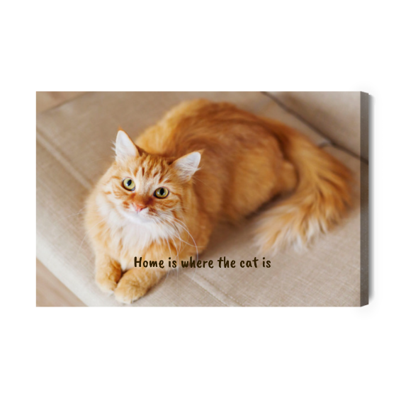Leinwandbild mit Katzenfoto und Text